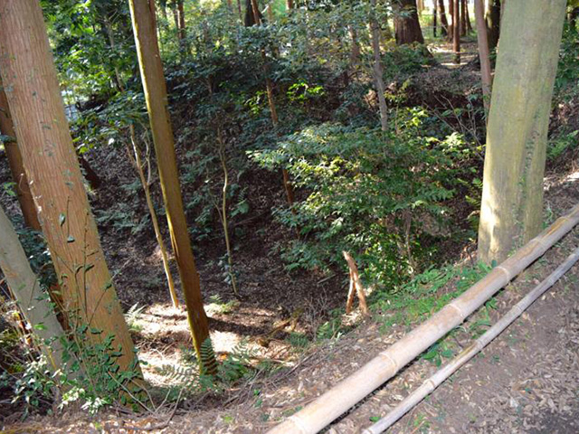 土橋の上から観える空堀「野田城跡内」